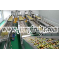 Passion fruit Aloe Mango Processing Line